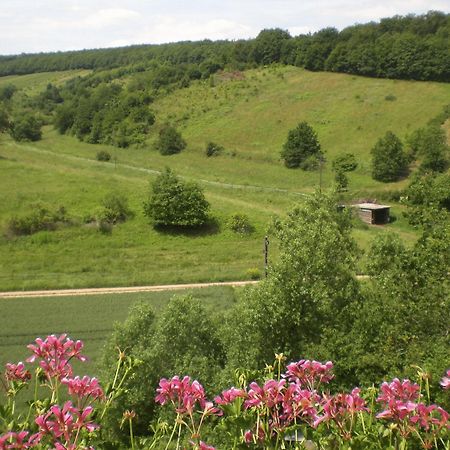 Landhotel Lembergblick Feilbingert 외부 사진