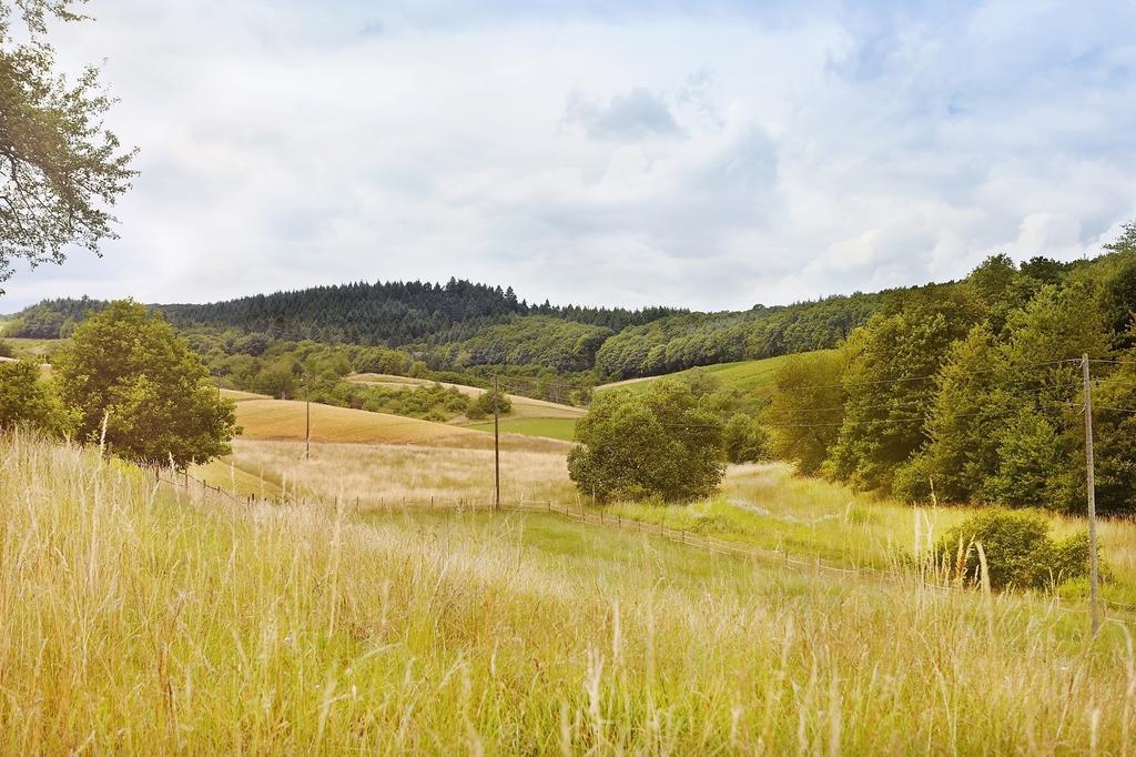 Landhotel Lembergblick Feilbingert 외부 사진