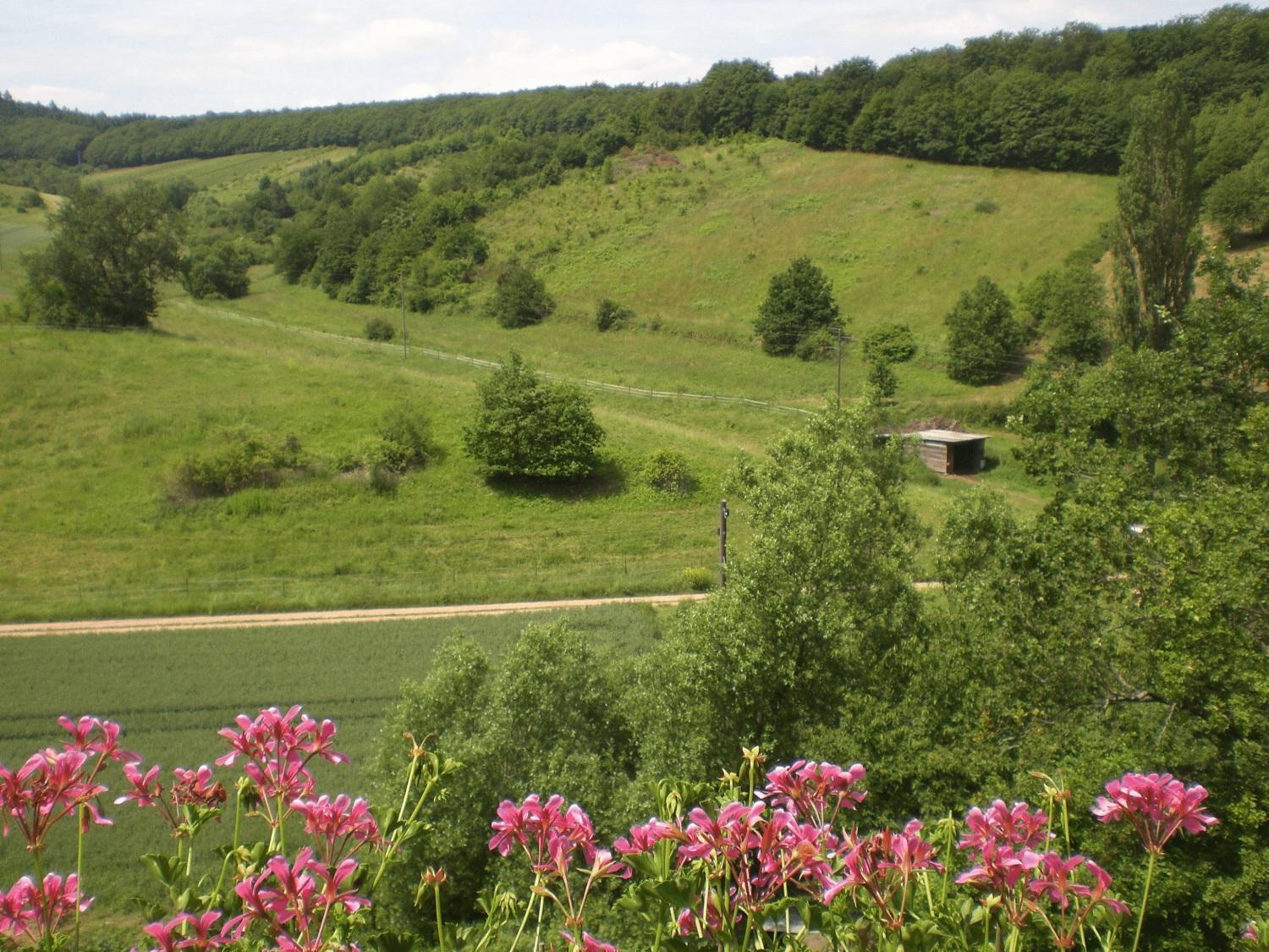 Landhotel Lembergblick Feilbingert 외부 사진