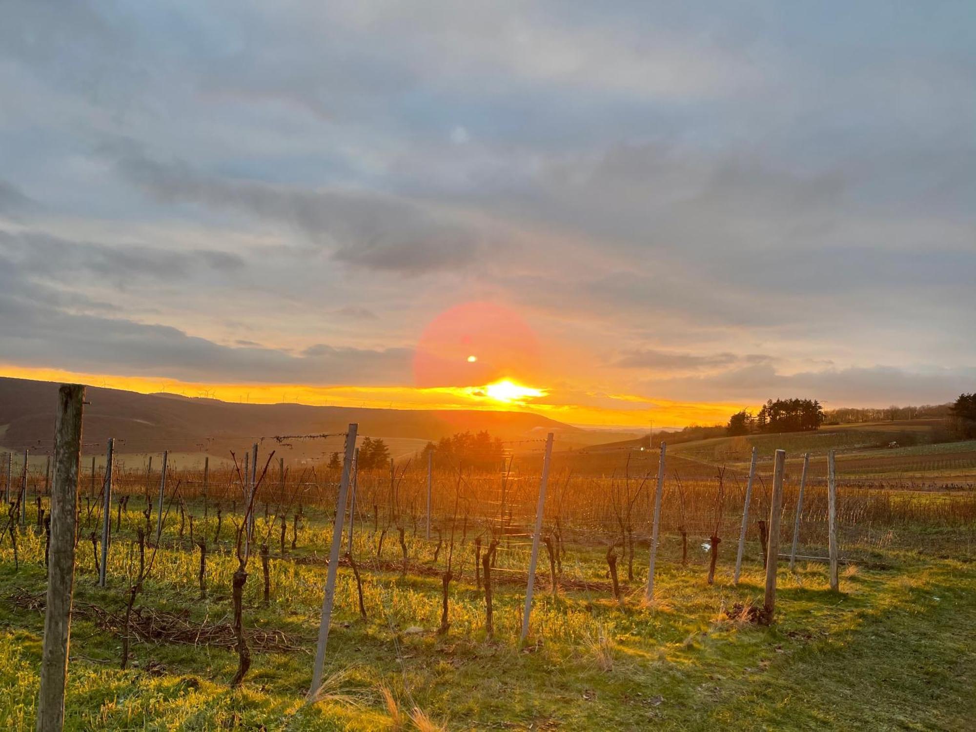 Landhotel Lembergblick Feilbingert 외부 사진